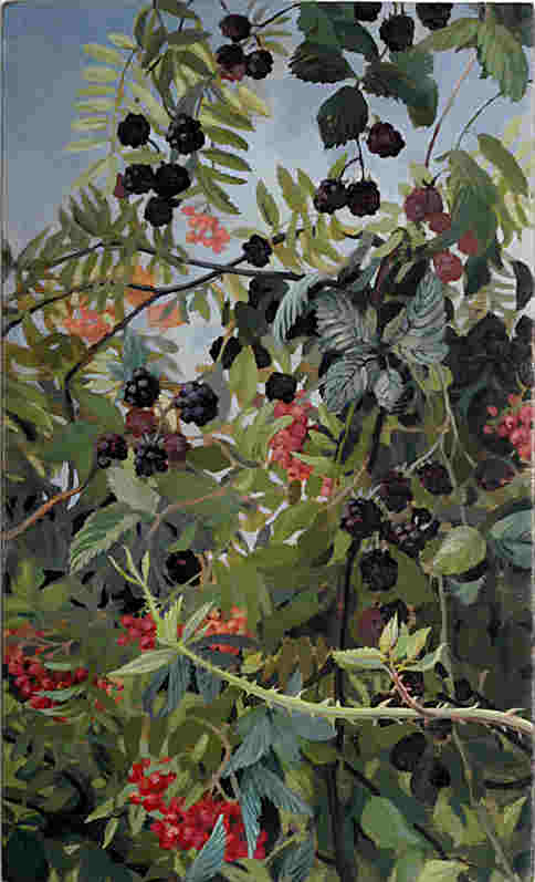 Brombeere und Vogelbeere